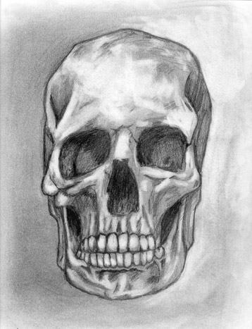 skull